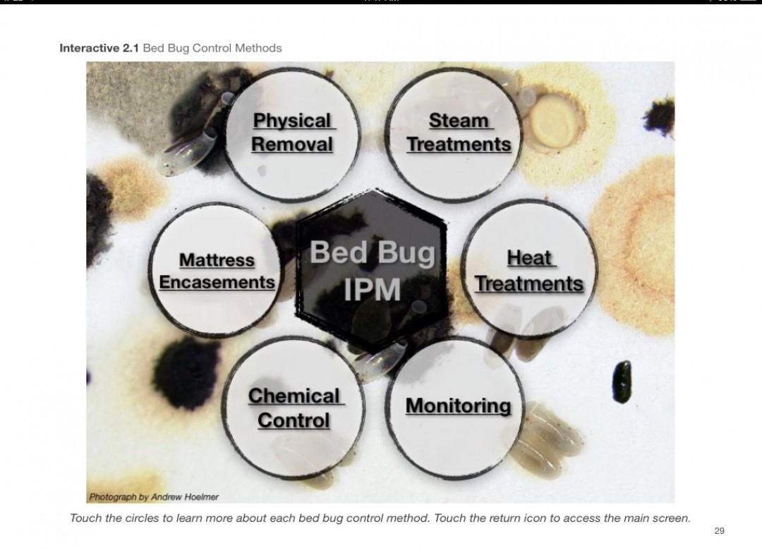 Bed Bugs: Biology, Prevention, And Control | Affordable Learning Exchange